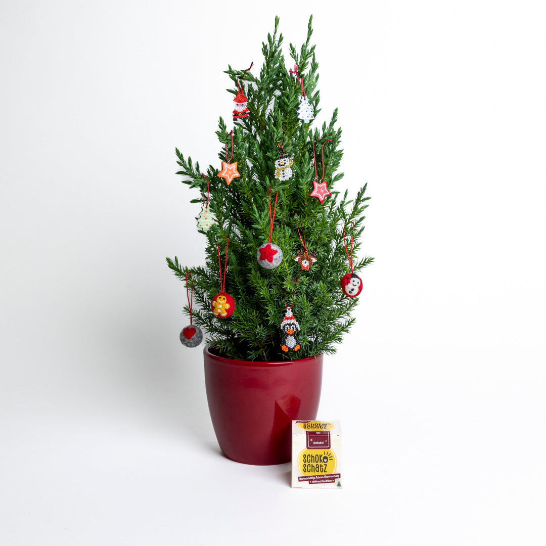 SchokoSchatz -Weihnachts-Edition